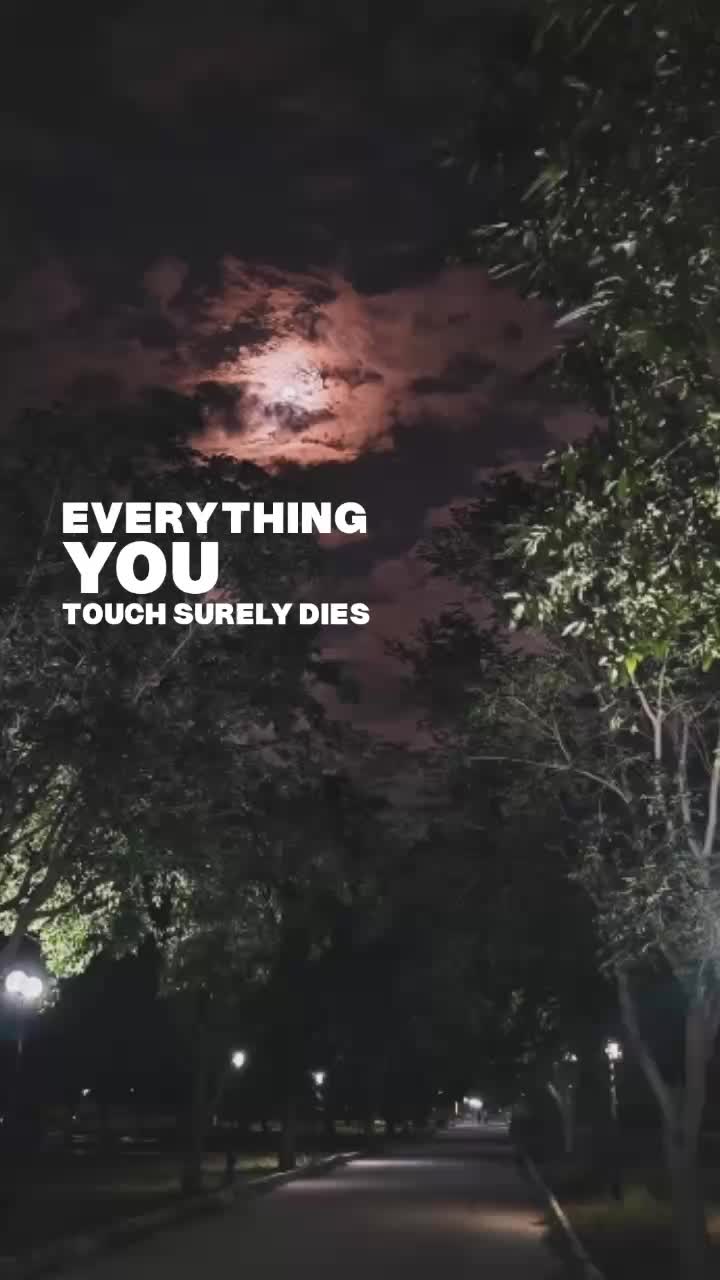@𝘊𝘩4𝘳𝘥𝘴.