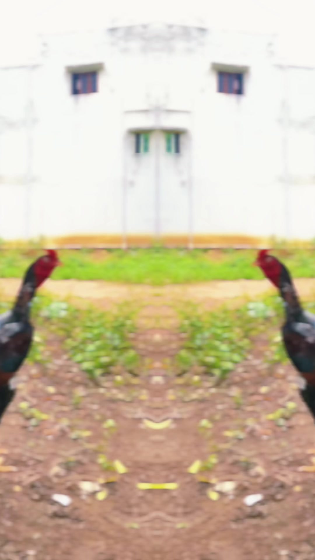 @๐๐ ๐๐ซ๐๐๐๐๐ซ๐๐ฅ