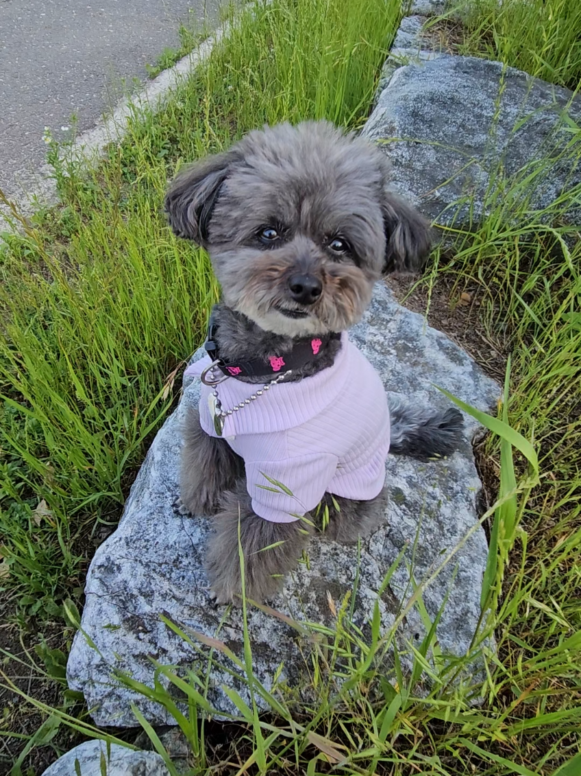 @복이🌲🌲🌲
