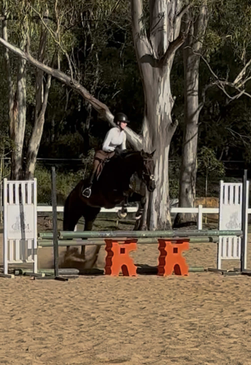 @Double F Performance Horses