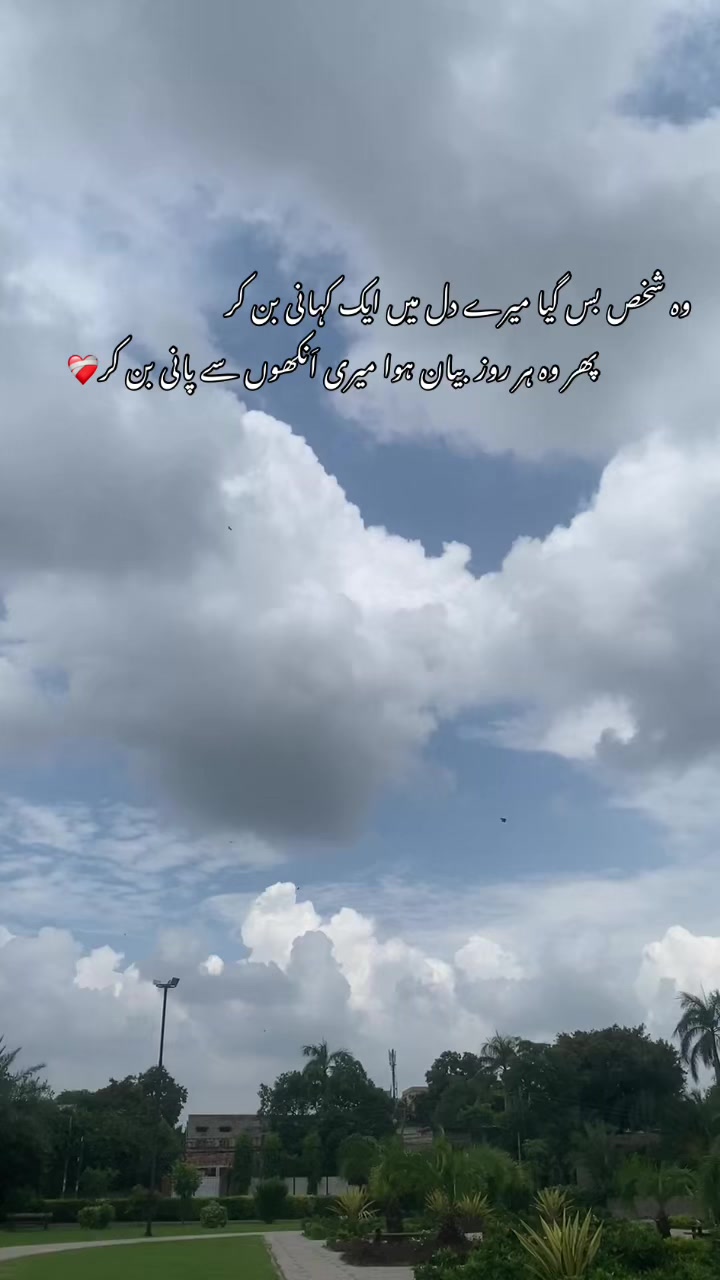 @🕊️