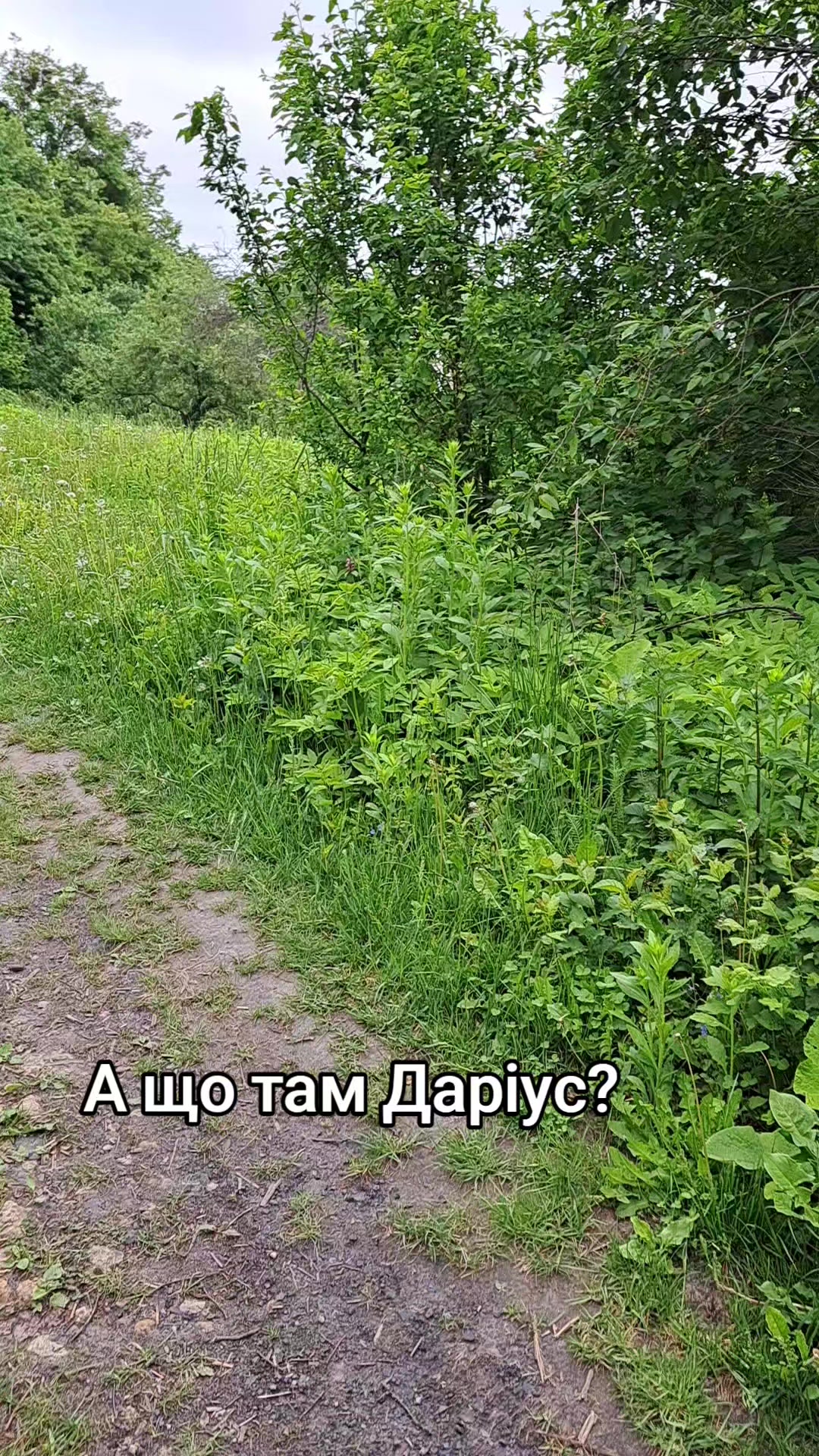 @Катерина Германюк