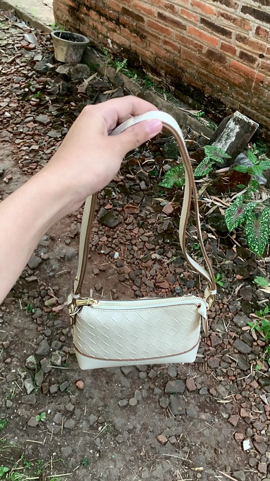 @nʚଓ
