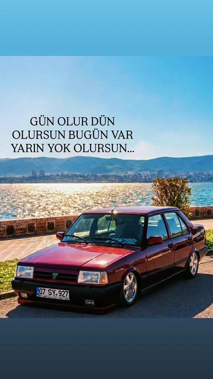 @Kuşçu efe ermiş 🕊️