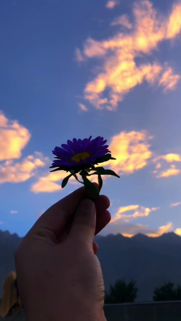 @anisthetics__1