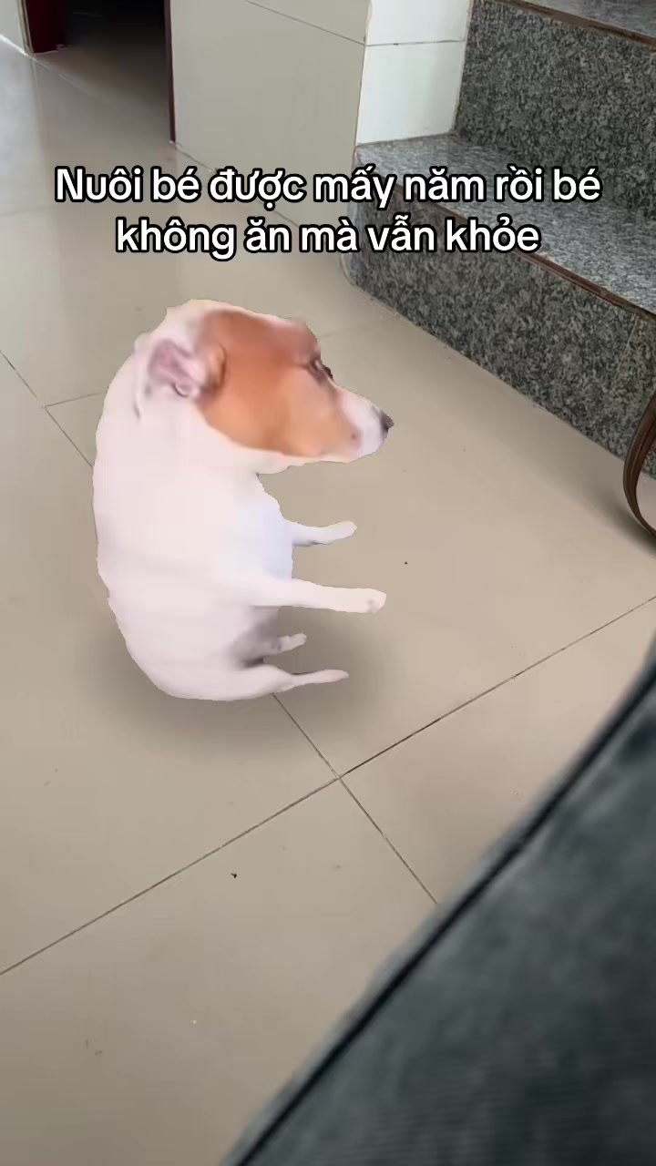 @Dưa hấu 🍉
