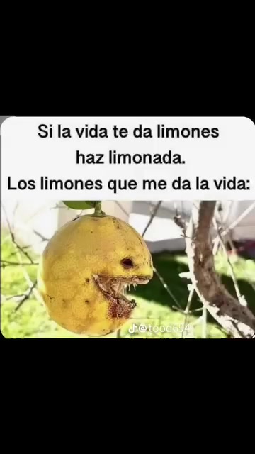 @Tood696