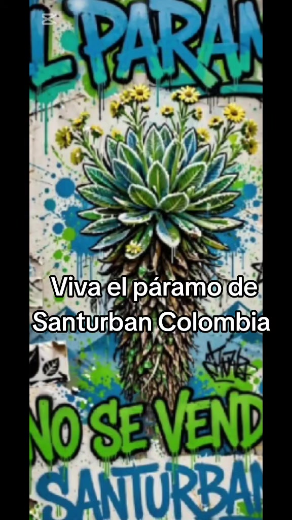 @luisomarfuentesve