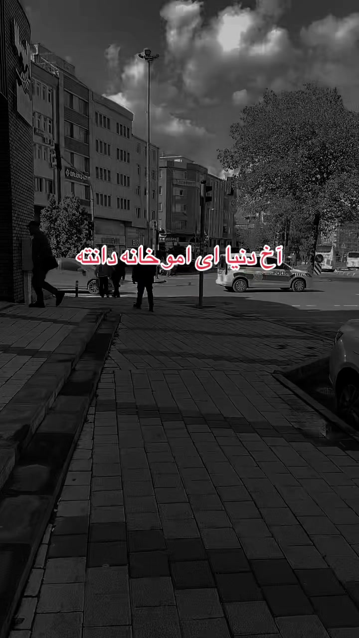 @MEF