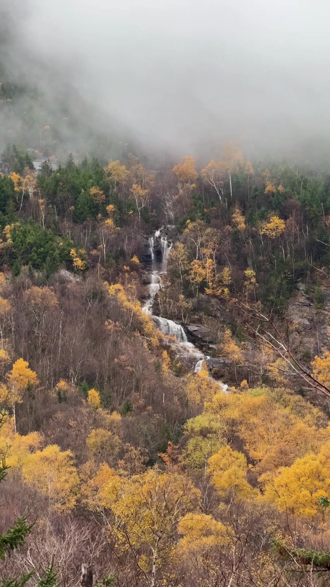 @whitemountainsnh