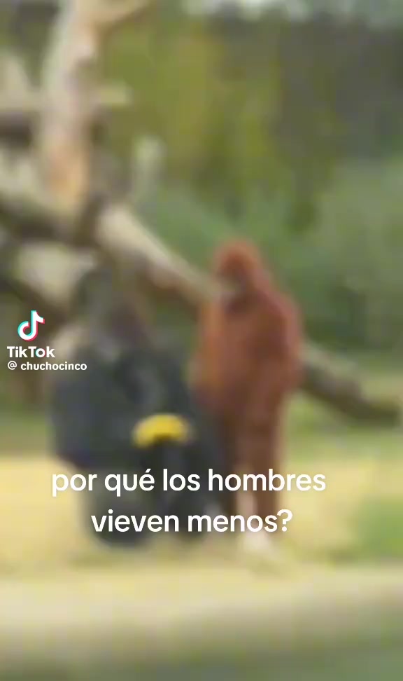 @vicdubai7