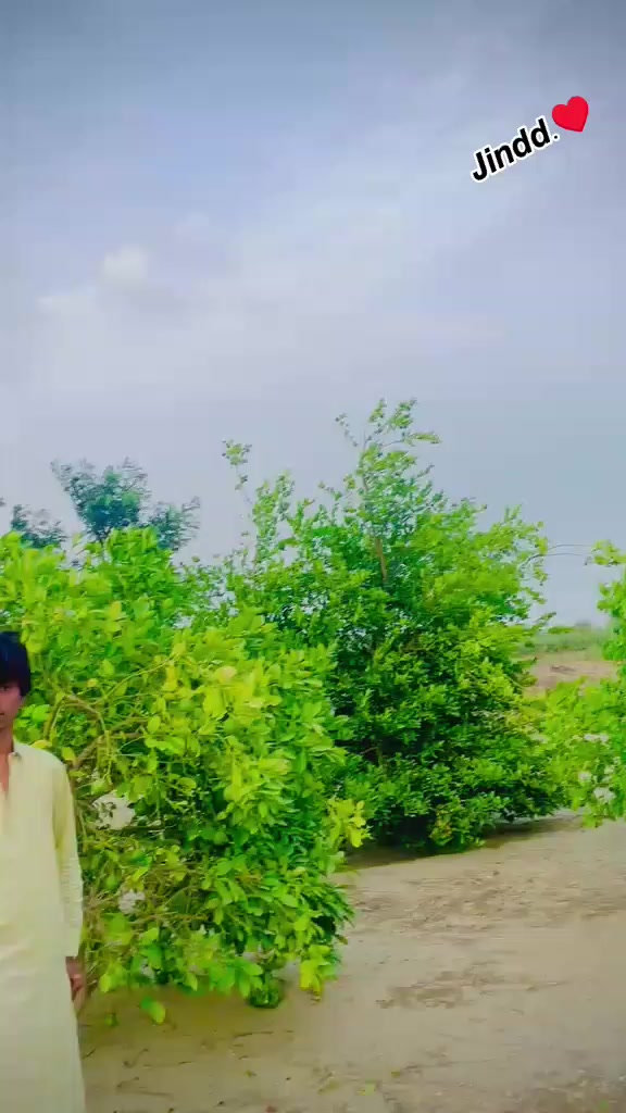 @M𝑒𝗁𝘢𝗥𝐛𝚊𝐍 𝙎h𝒶𝐇𝚒❤️&zwj;🩹