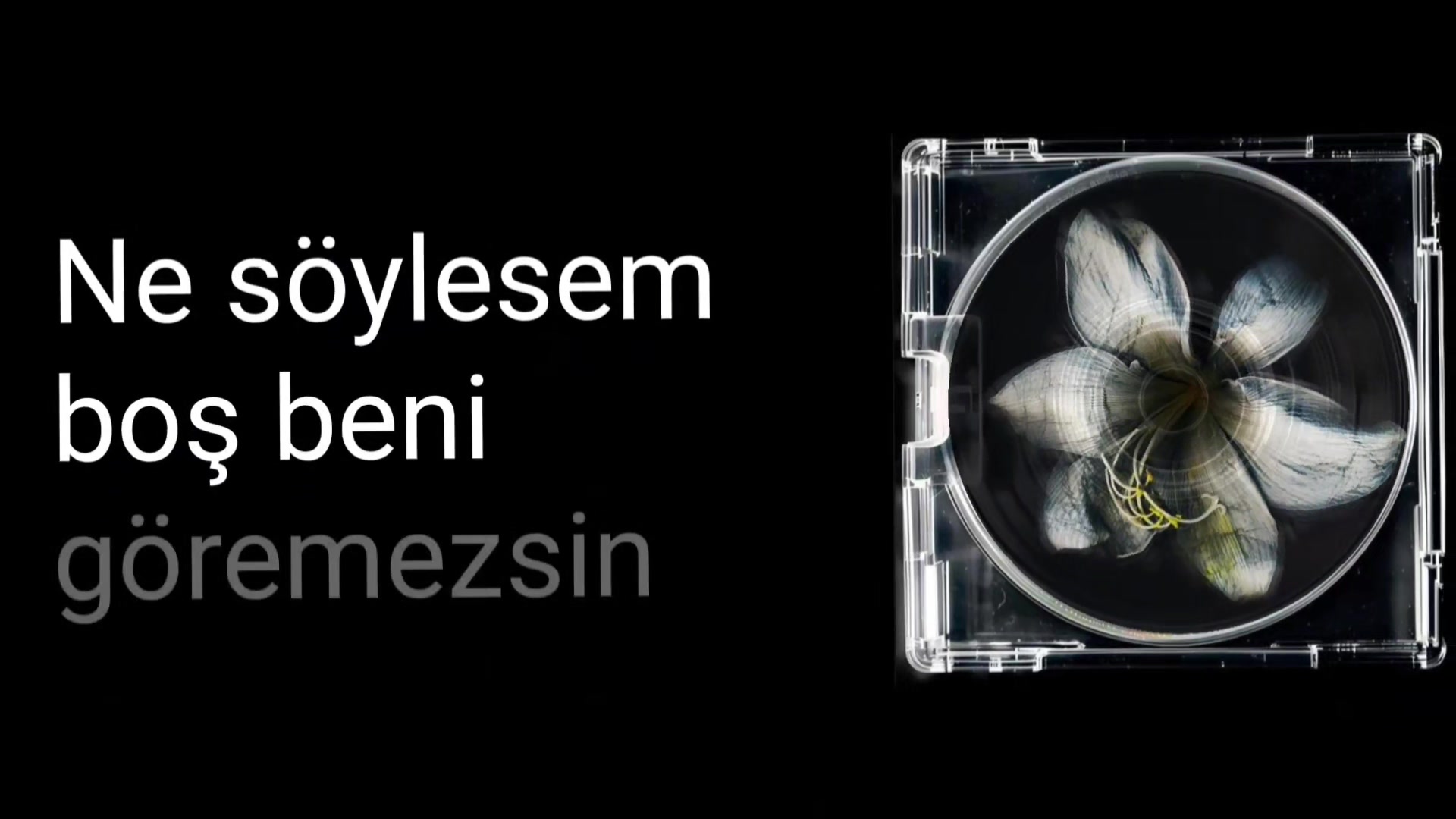 @Lyrics