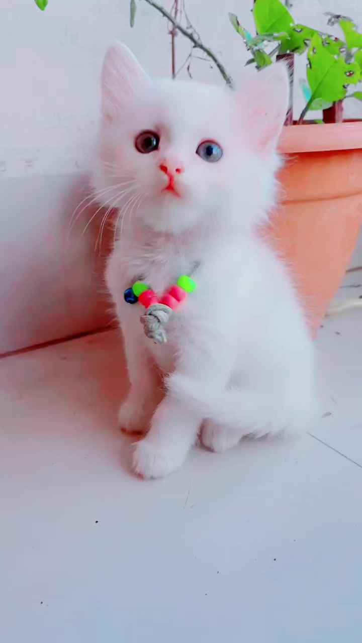 @🥰moni🥰