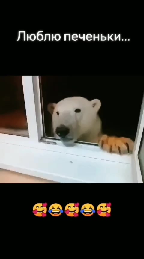 @Александр Олегович ✌️😎