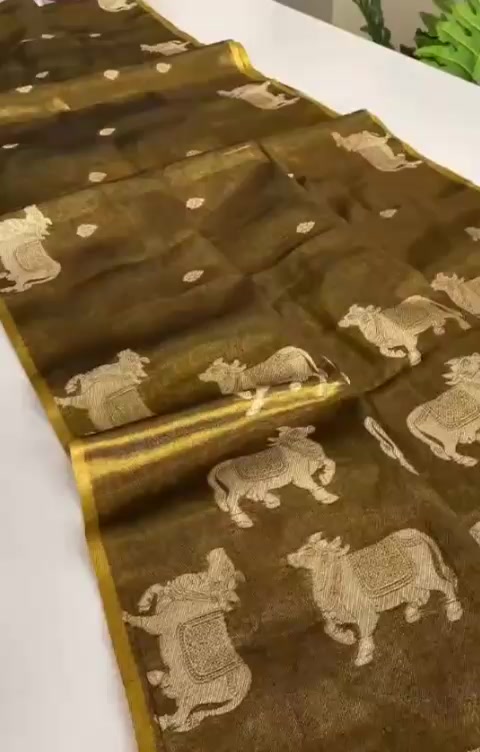 @Raanyass