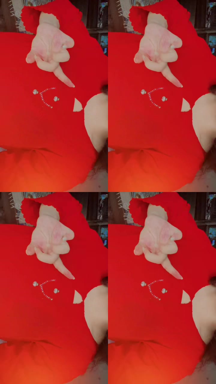 @Nisha257