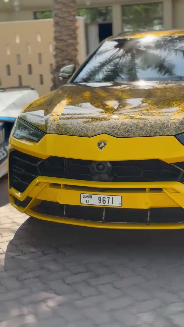 @shattabandle1🙏