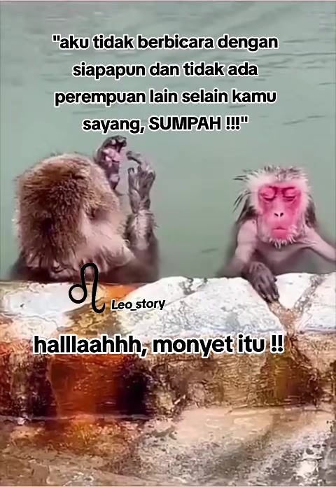 @Leo_Story