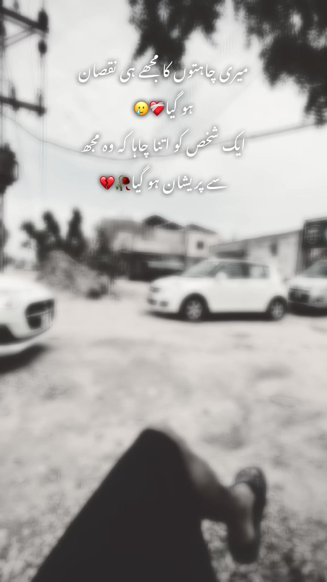 @🕊️🕷️