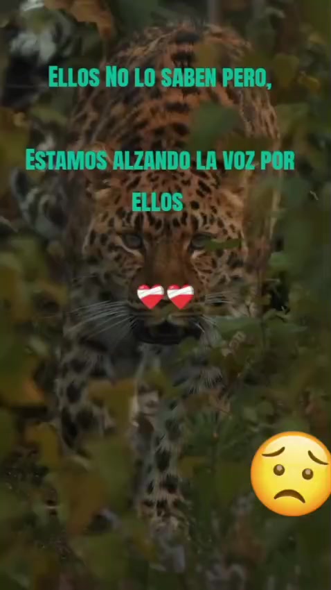 @️ Reina de coraz&oacute;nes _oficial