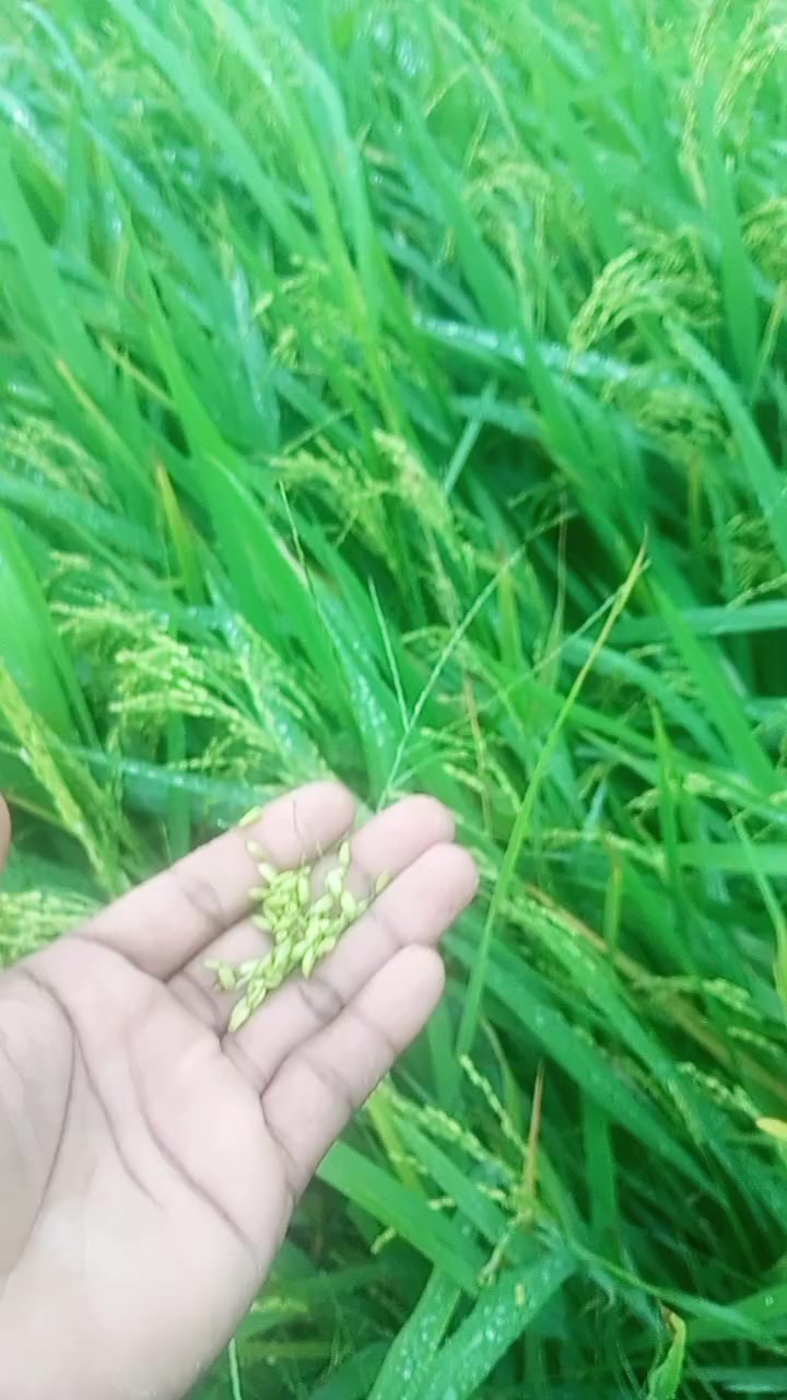 @ðððºð¶ð³ð¶ð« ð²ð°ðµð®.001ð