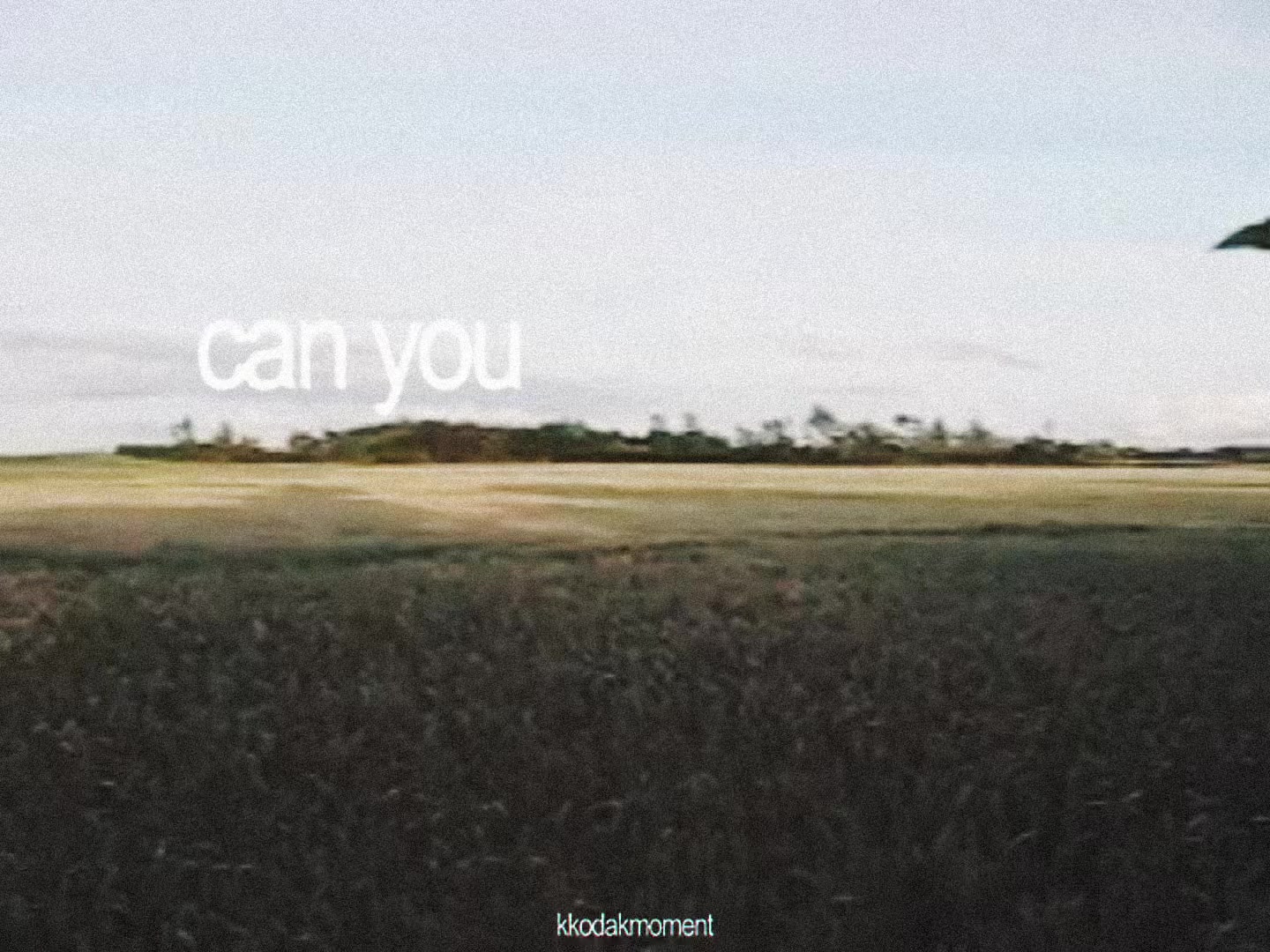 @theyfriend
