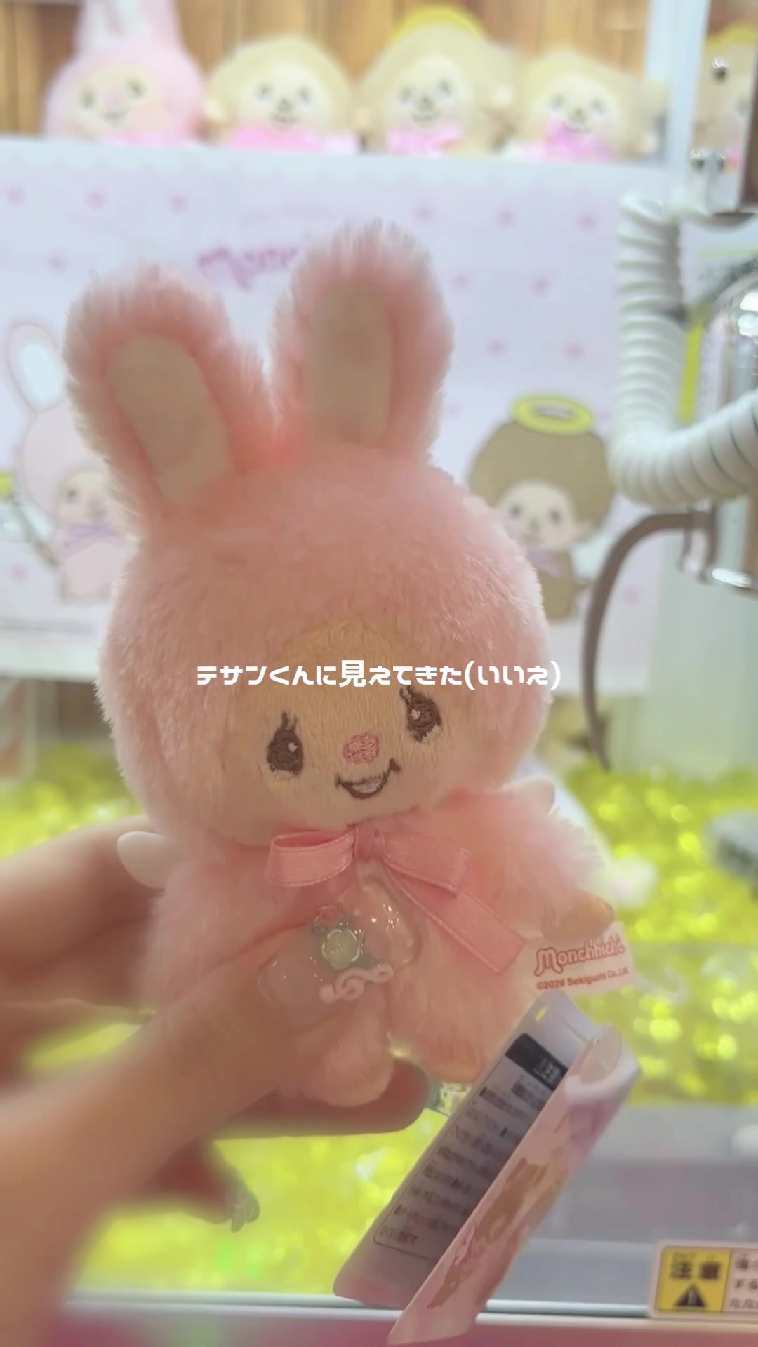 @포누 ぽぬ