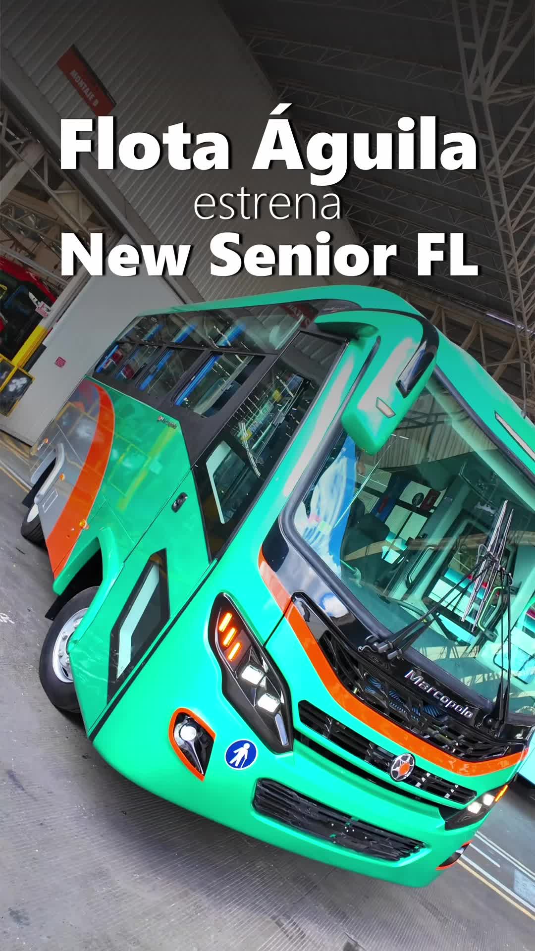 @Latinobus