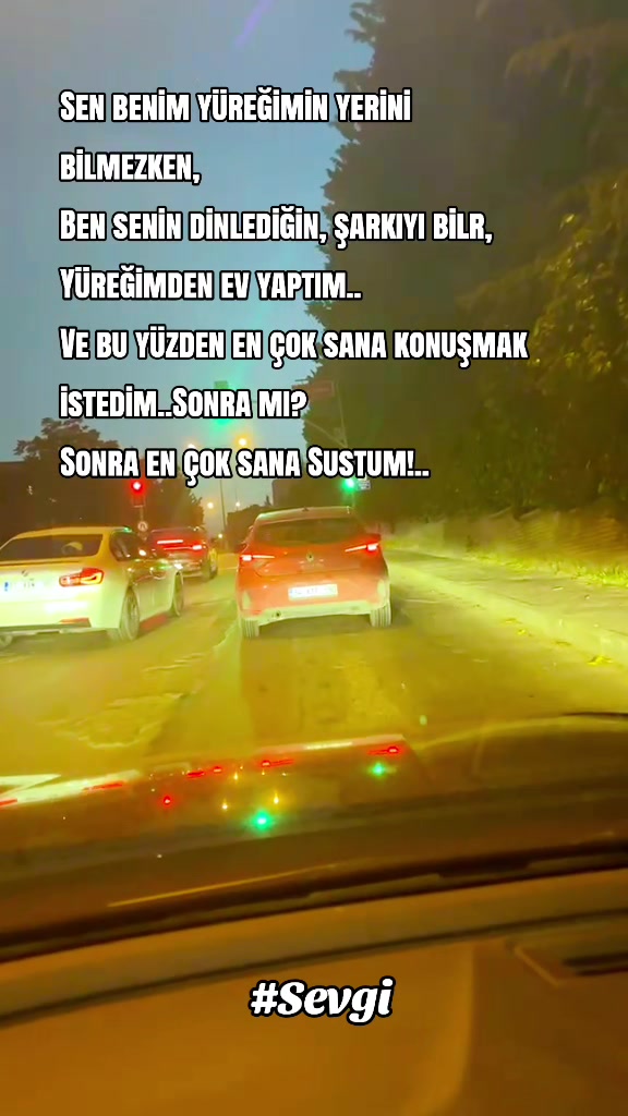@S❤️E❤️V❤️G❤️İ
