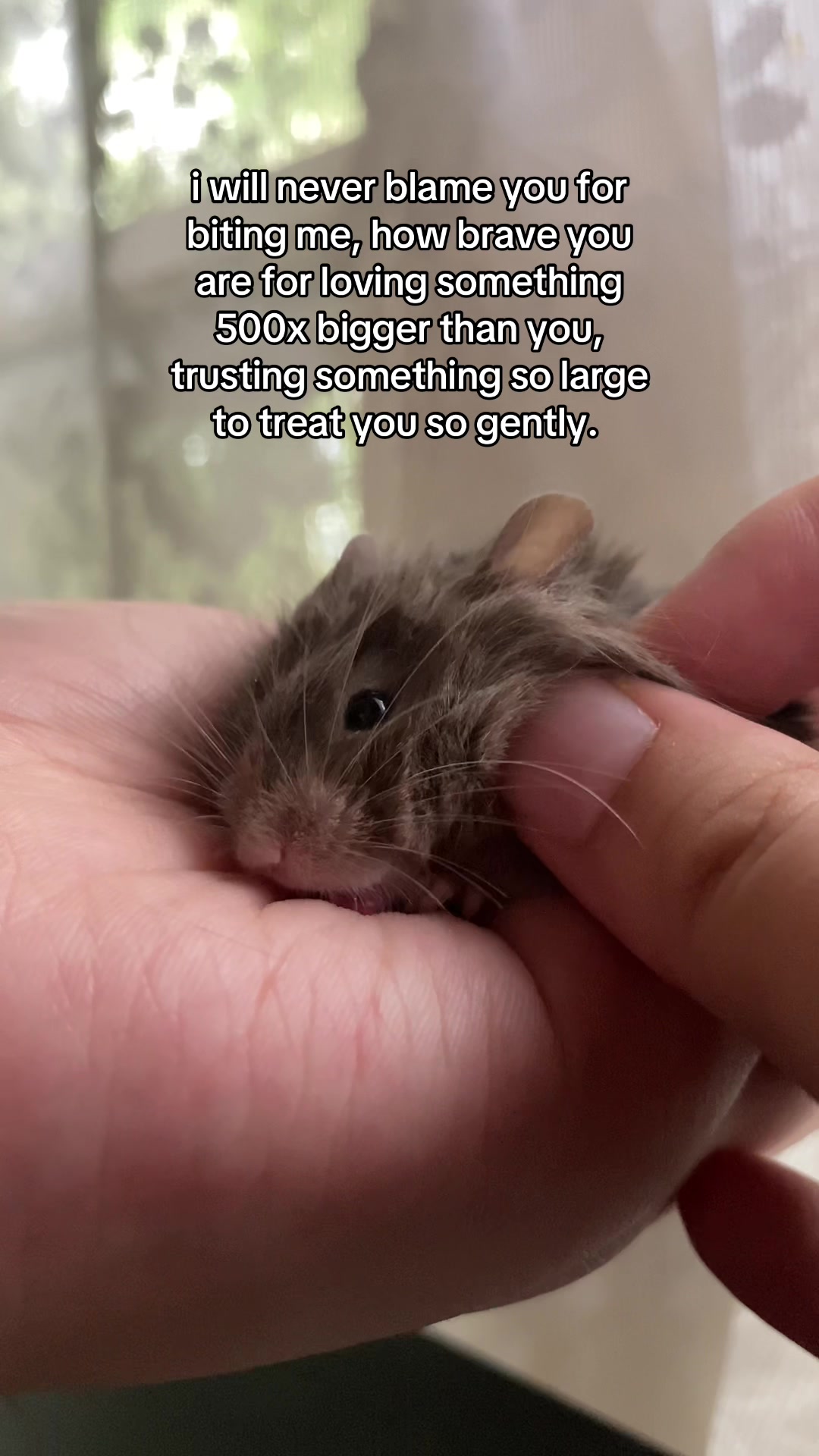 @ThatMouseGirl♡