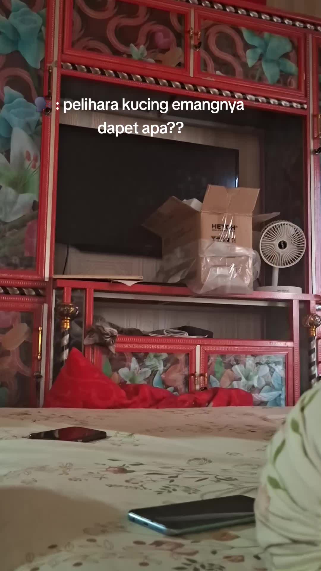 @Dinii🇮🇩🇯🇵