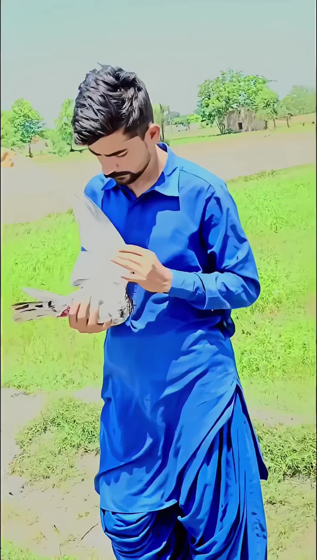 @𝐏𝐈𝙂𝝚𝝤𝝢𝙎𓅛
