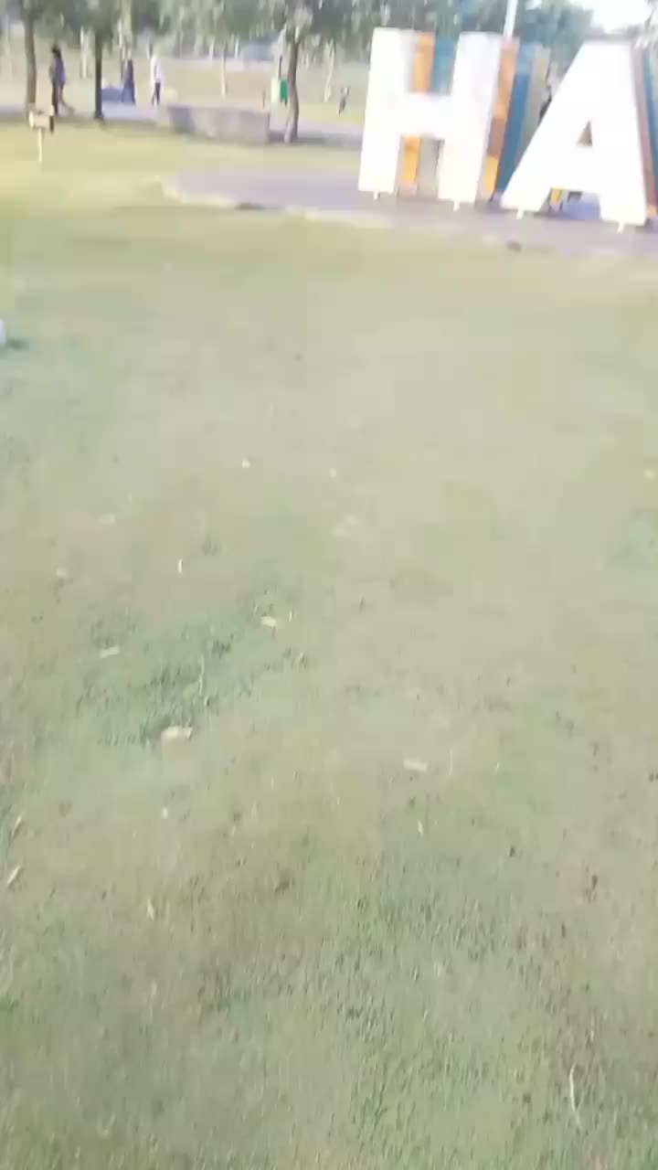 @BayuSamekto