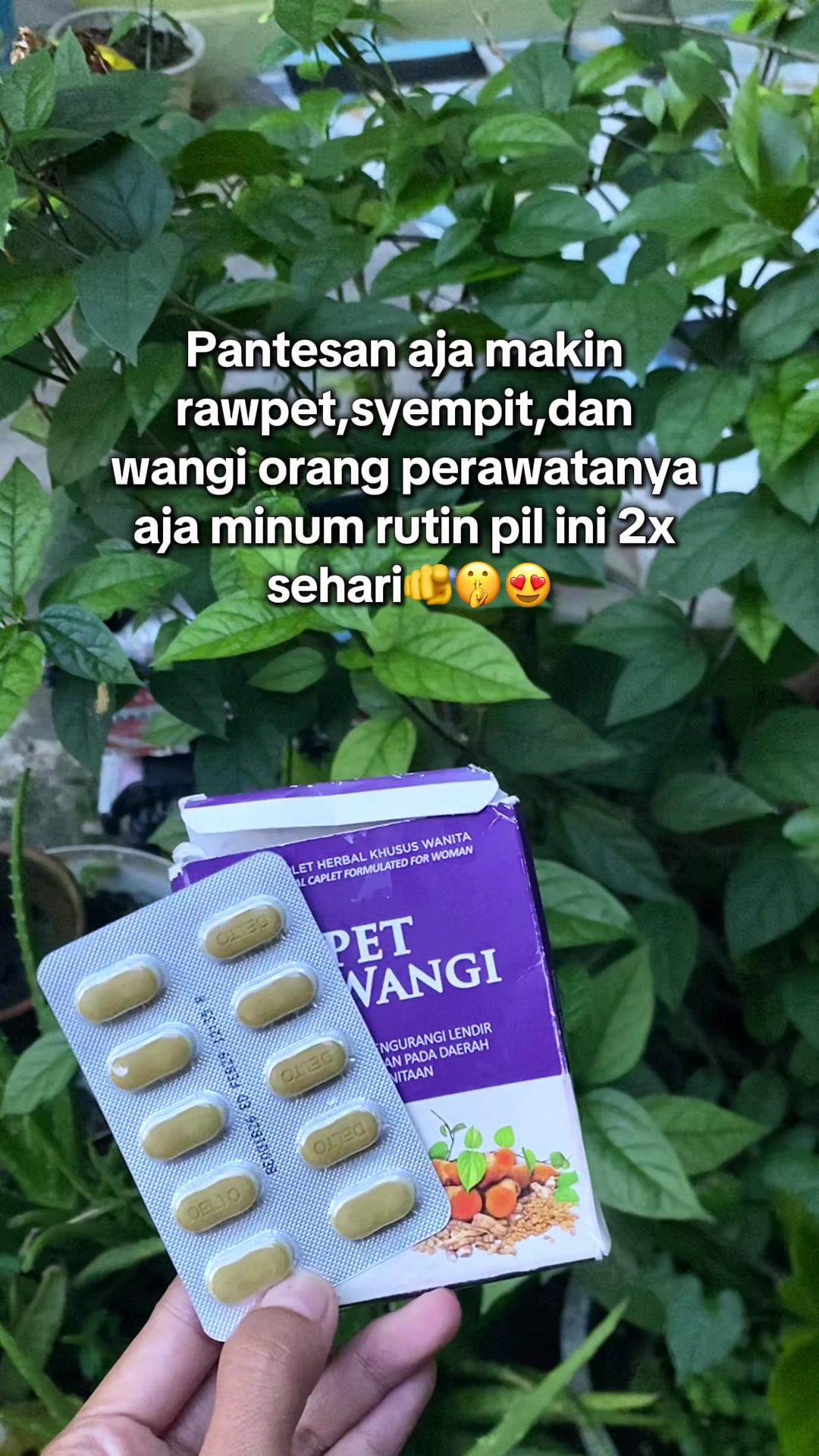 @fifi