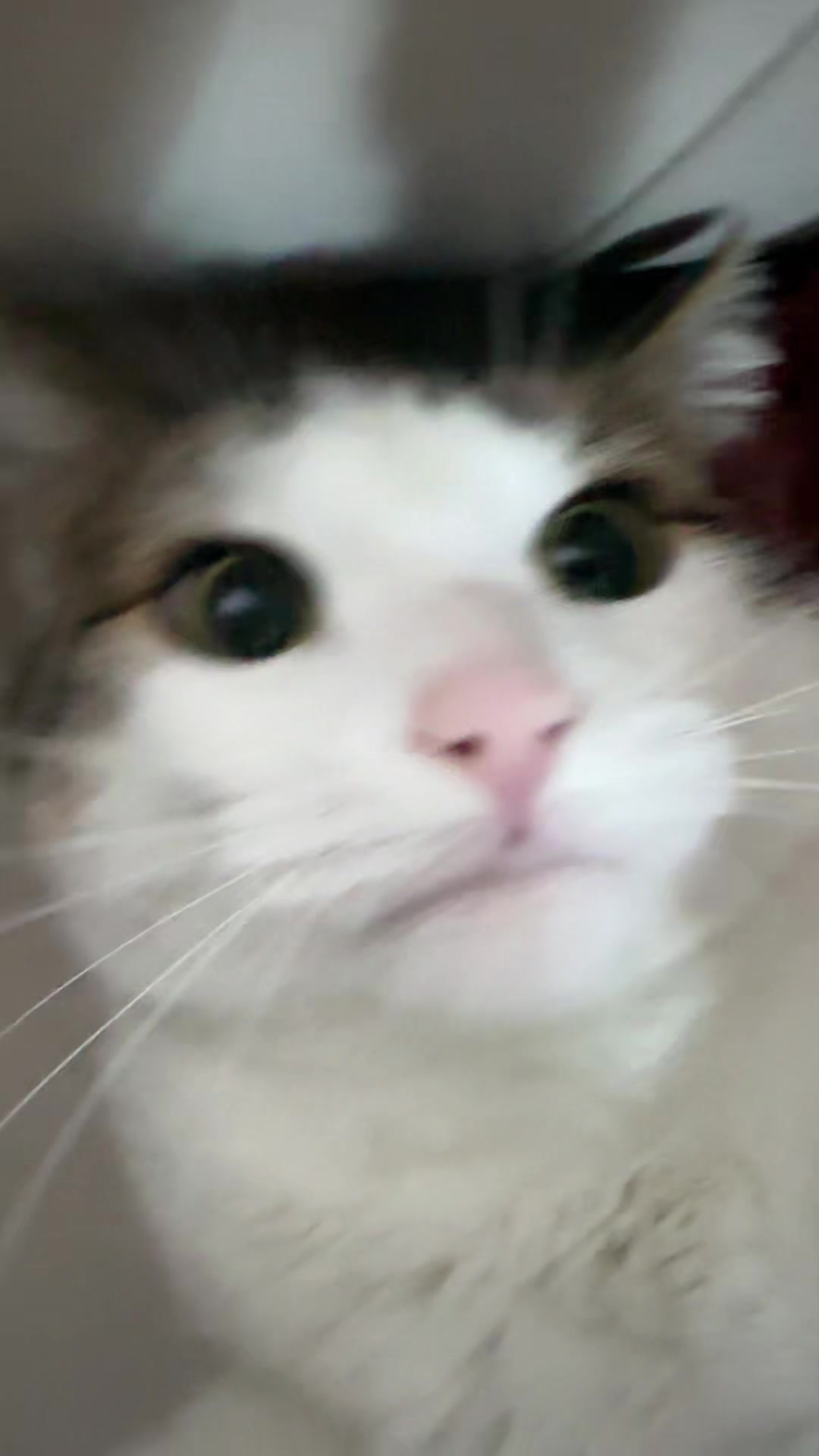 @Kiki