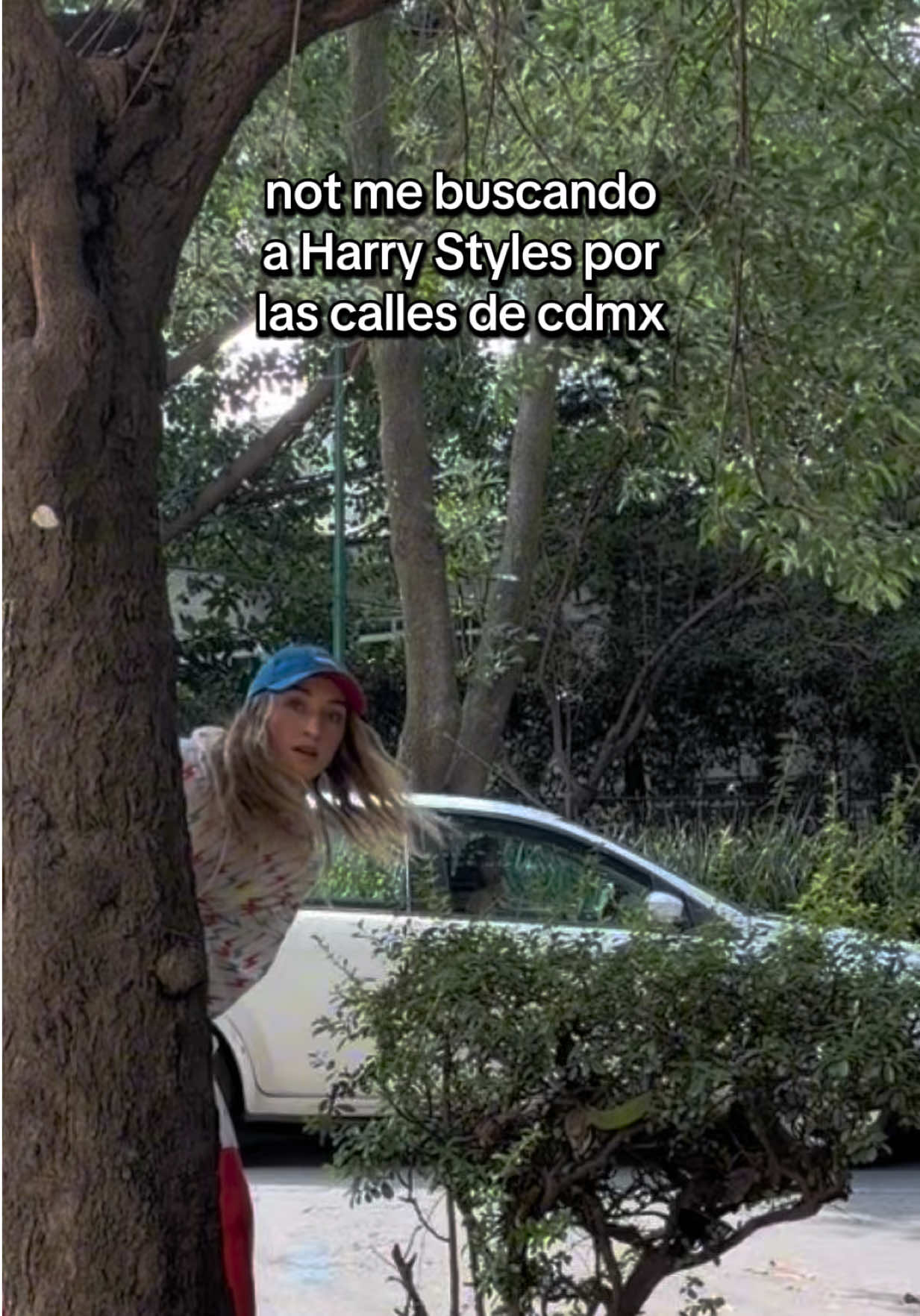 @luisavox