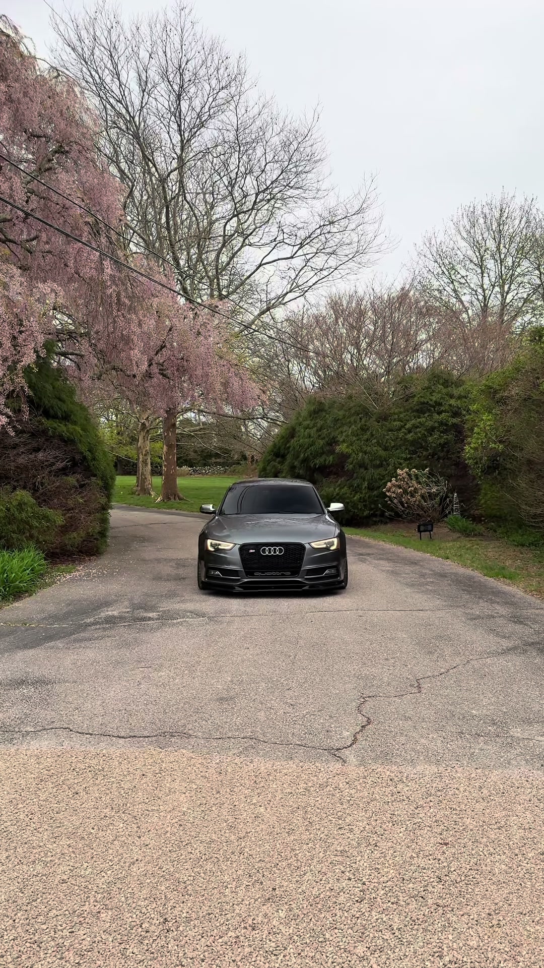@s5urge