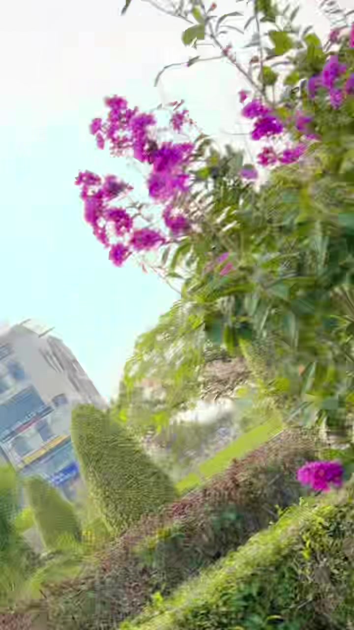 @اسامہ_خان⚡♥️