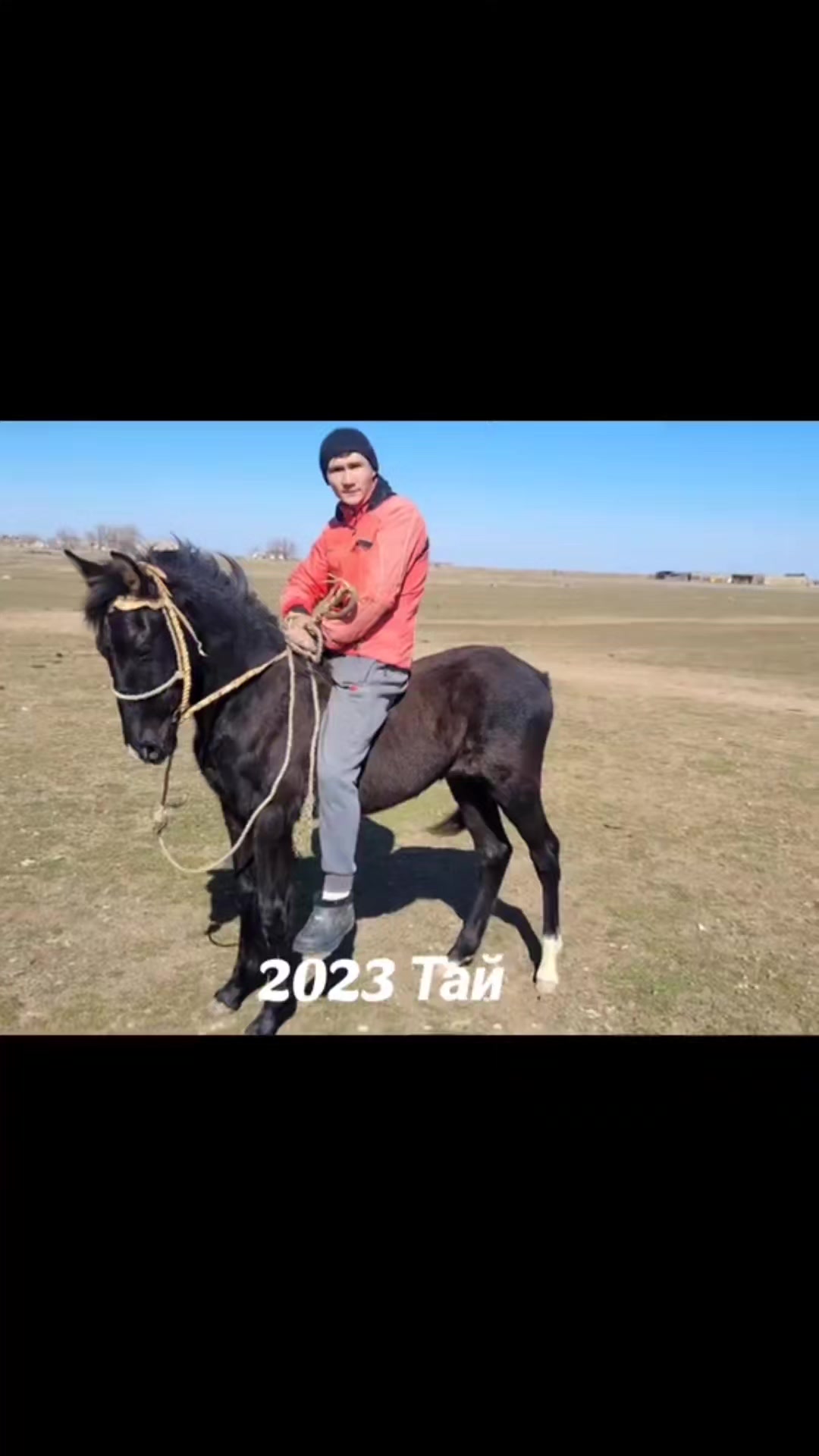 @Мержан