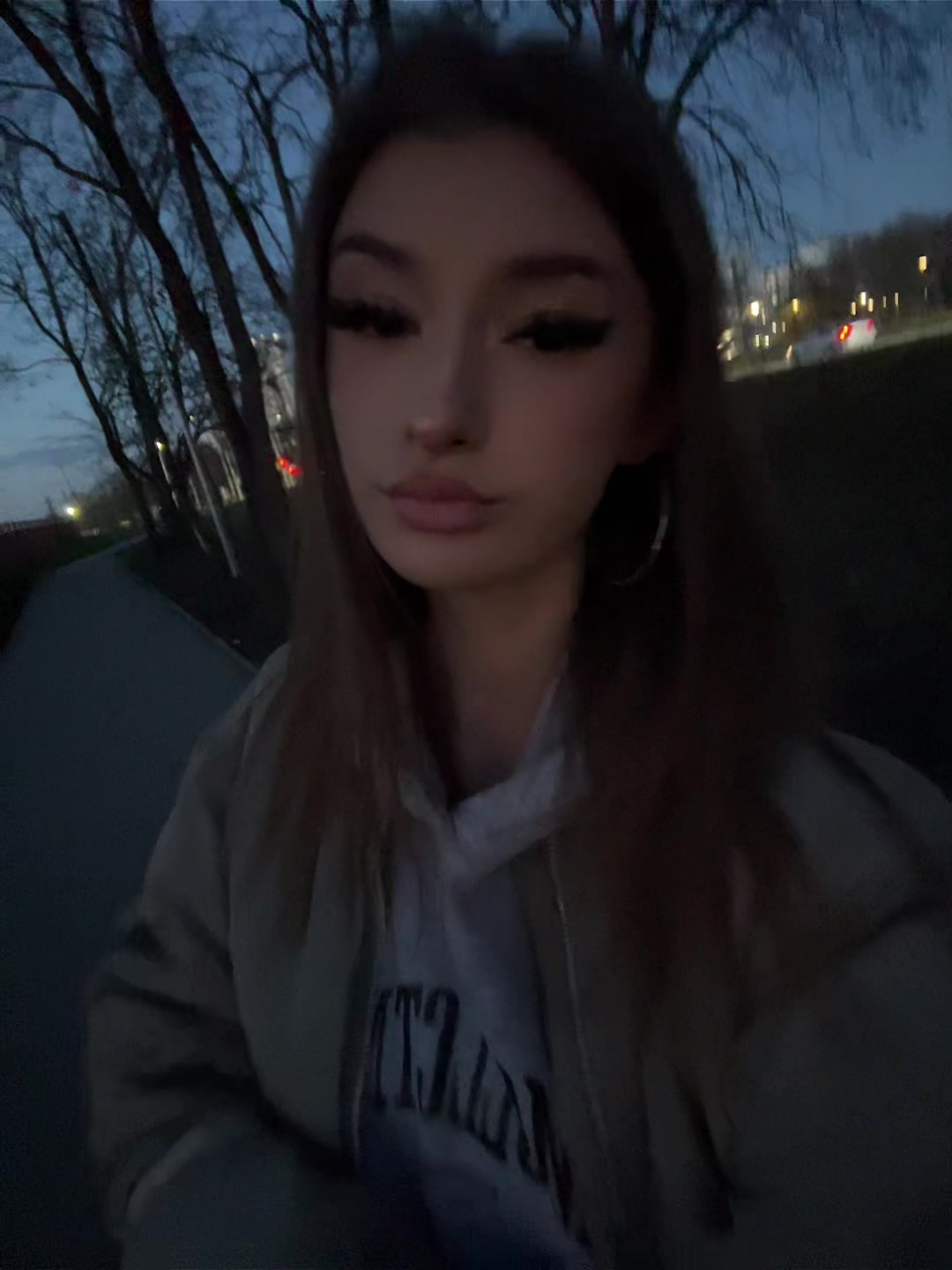 @arishkashkii