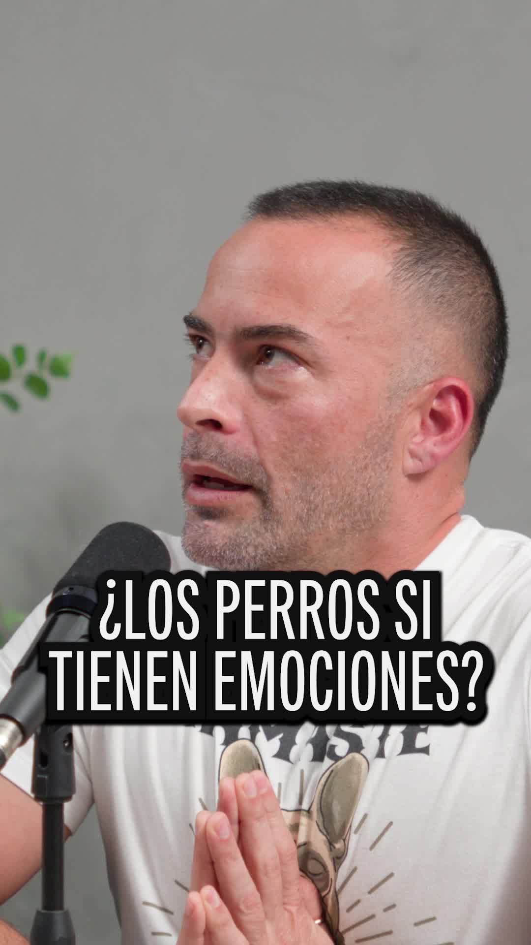 @La Verdad Cuesta