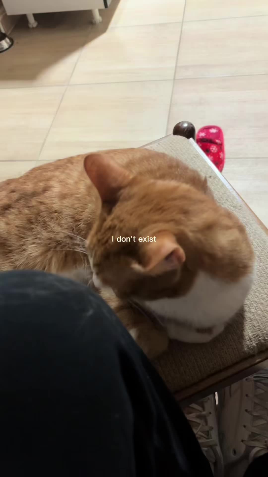 @nackaa0