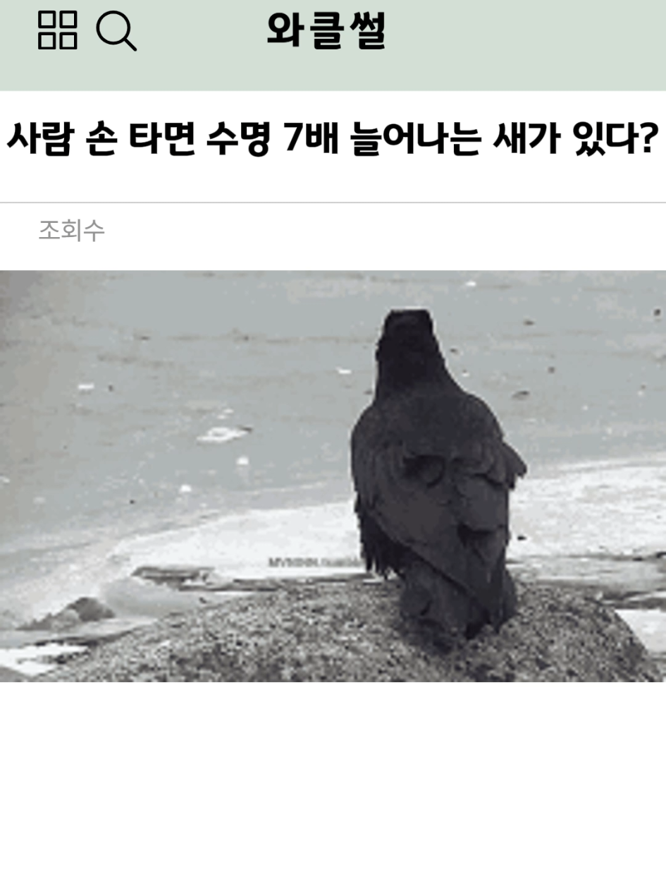 @와클썰