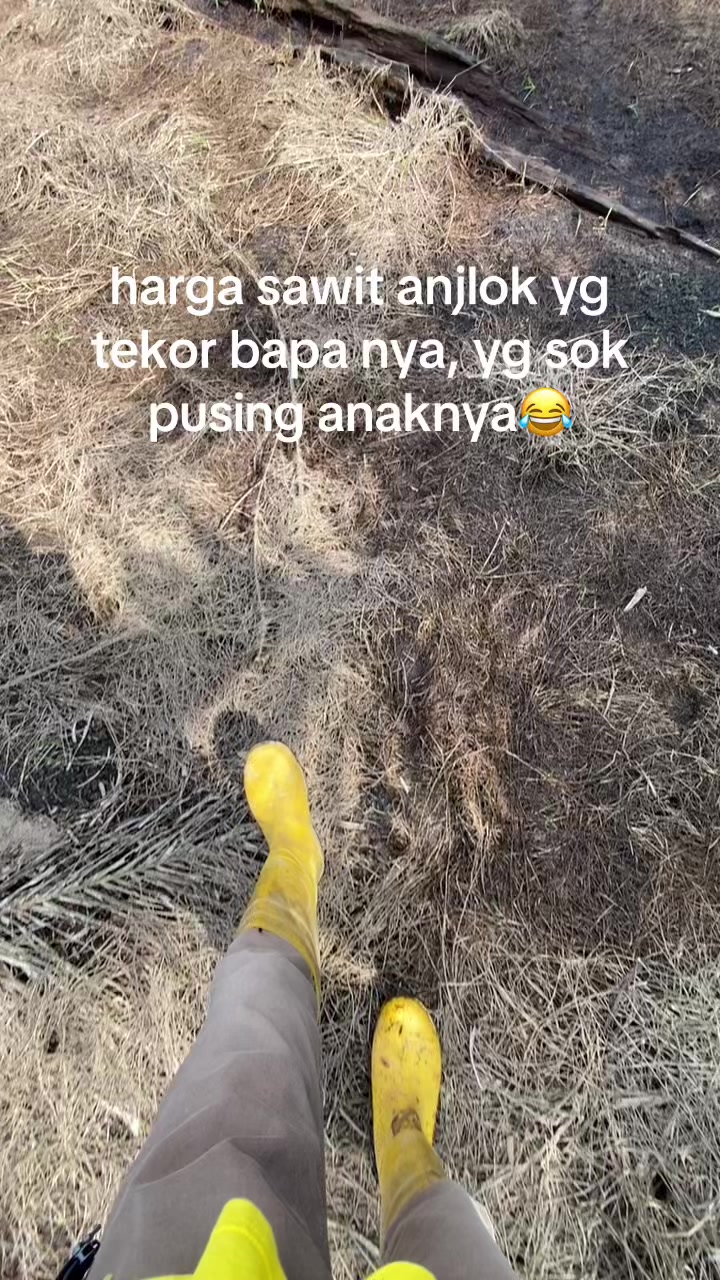 @cemot