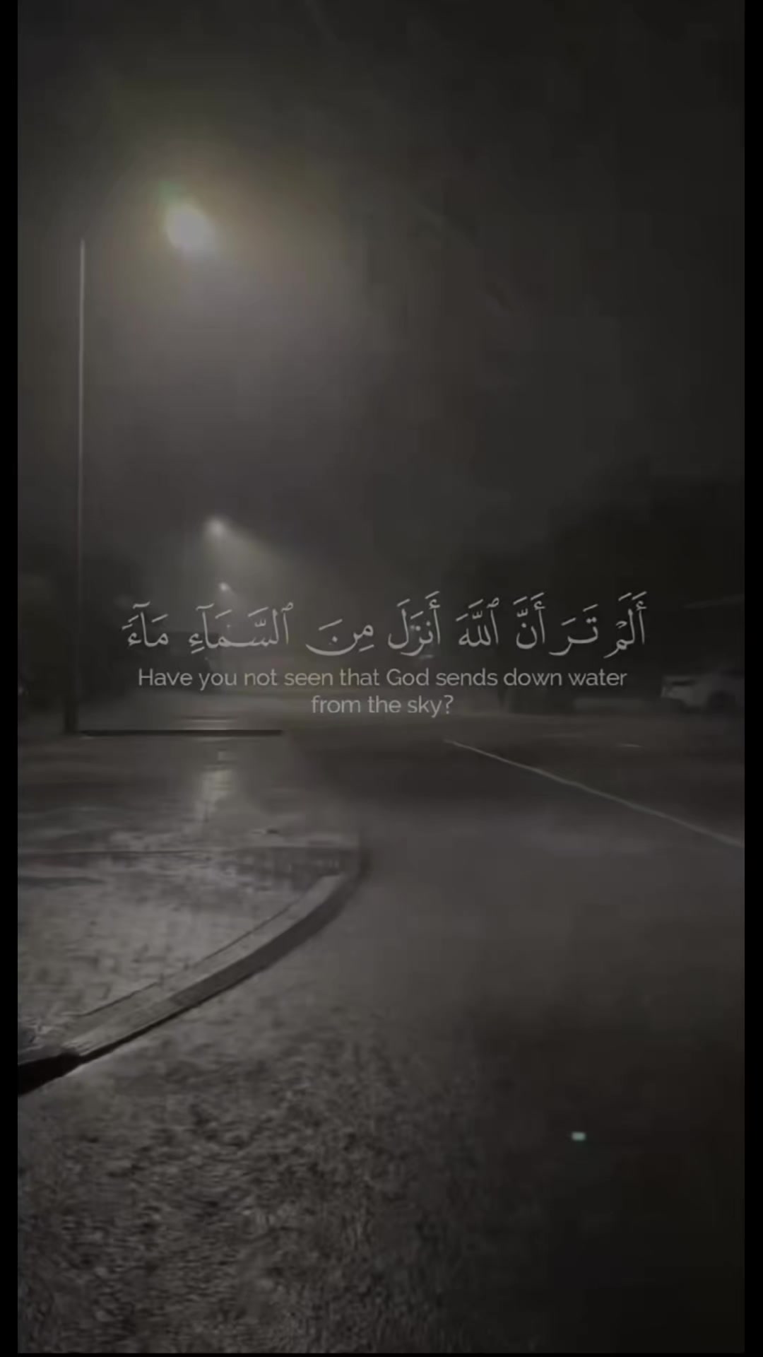 @حمو