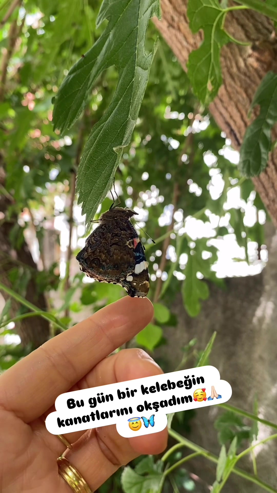 @Şapkalı Kadın