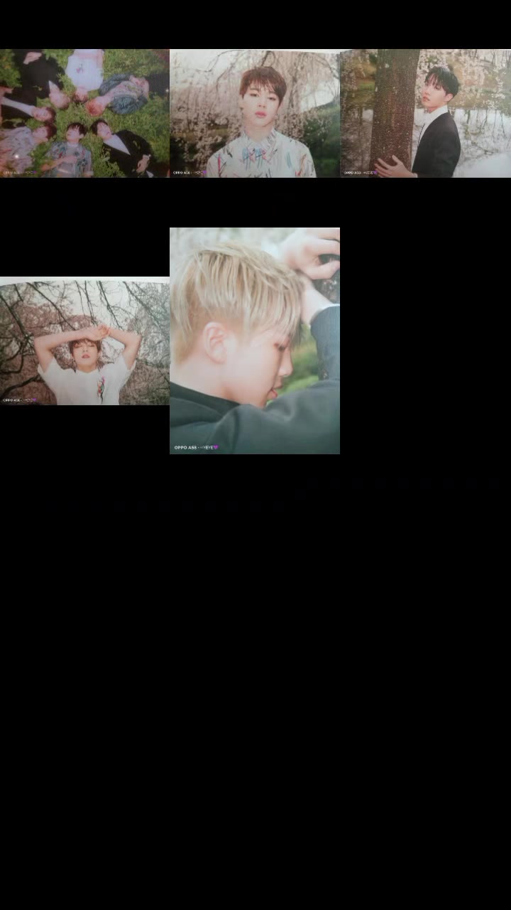@🐨🎭yeye_army🐨🎭🌮🍣