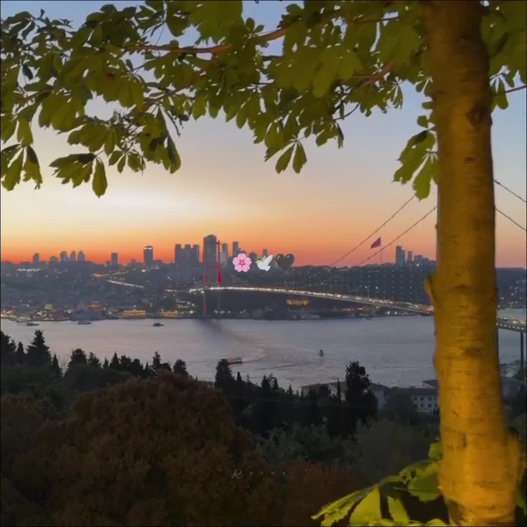 @𓂃♡ 𝓻𝓸𝓼𝓮𝔃 𝓵𝔂𝓻𝓲𝓬𝓼 🌙