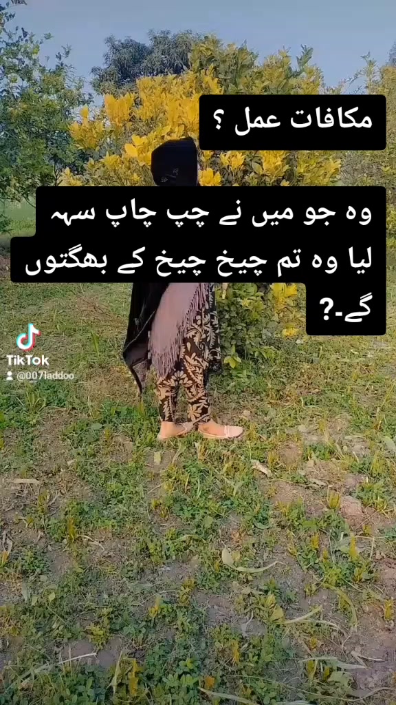 @LADDO 007